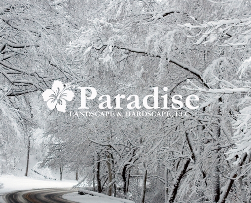 Paradise Landscape Snow Removal Annapolis