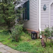 Luce Creek Road Annapolis Front Yard Deer and Shade Resistant1