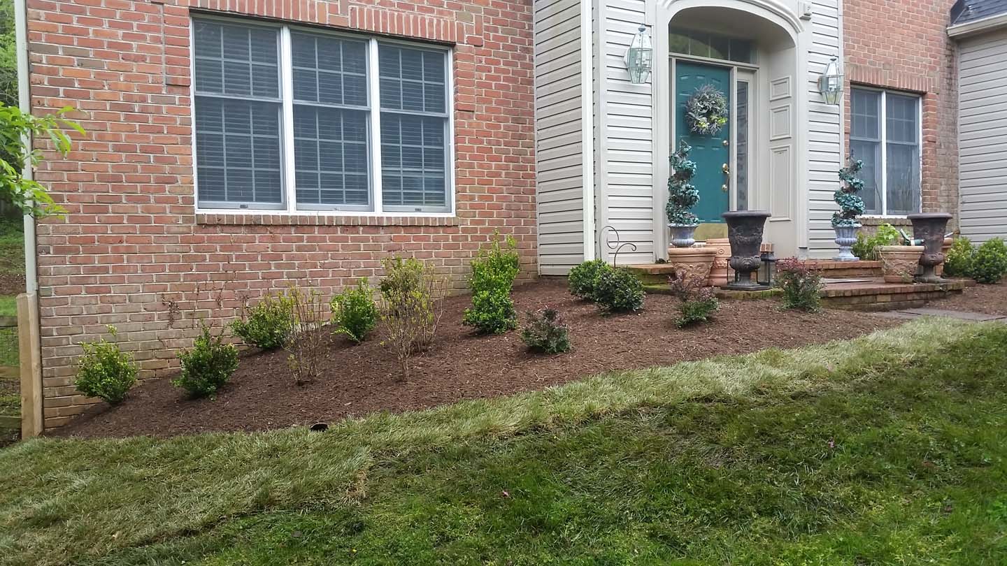 Annapolis Front Yard Deer and Shade Resistant - Paradise Landscape