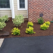 Lawn Care Services in Annapolis