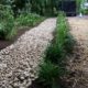 Yard Drainage Solutions in Annapolis Maryland