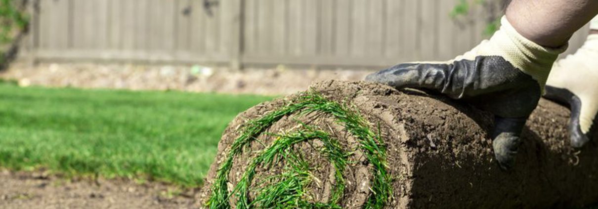 Sod Services in Annapolis Landscaping