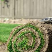 Sod Services in Annapolis Landscaping