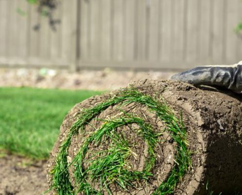 Sod Services in Annapolis Landscaping