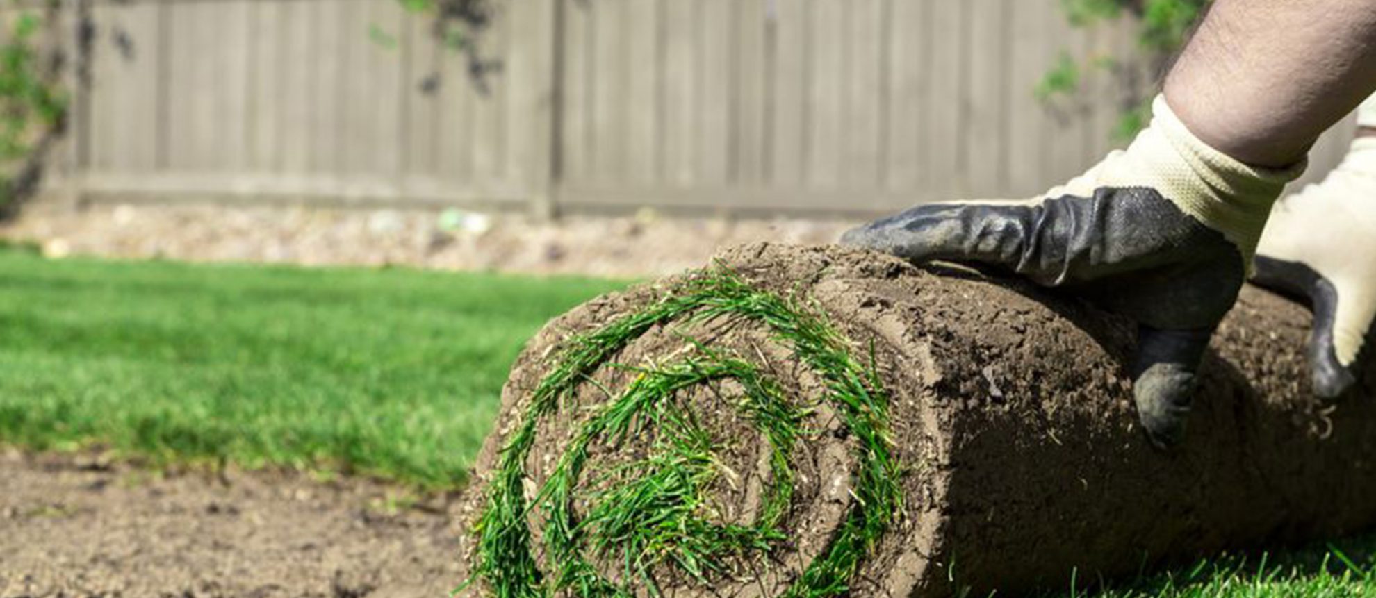 Sod Services in Annapolis Landscaping