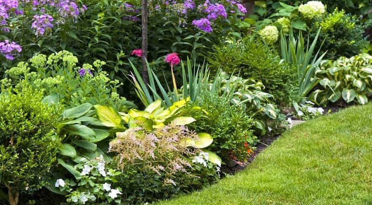 Lawn Services in Annapolis