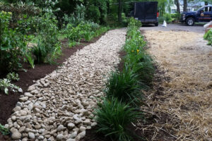 Rock Bed for Yard Drainage Solutions in Annapolis