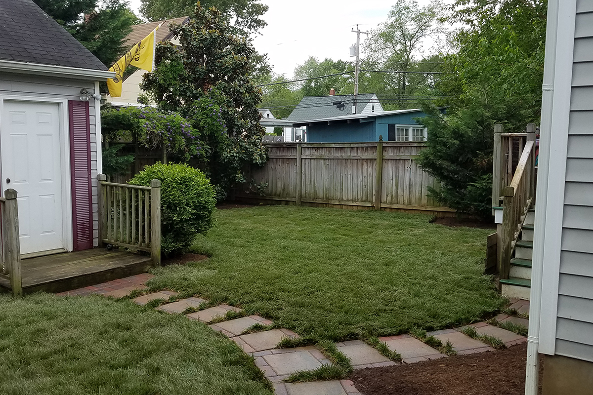 reddit lawn care crabgrass